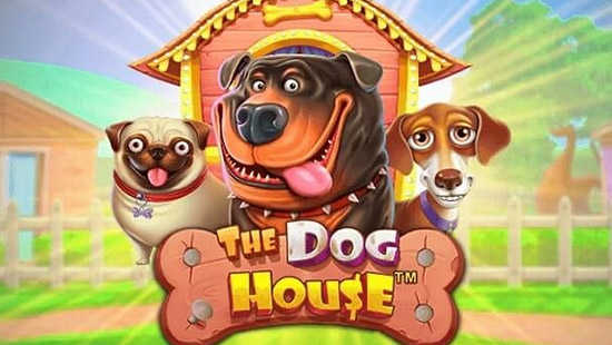 The Dog House